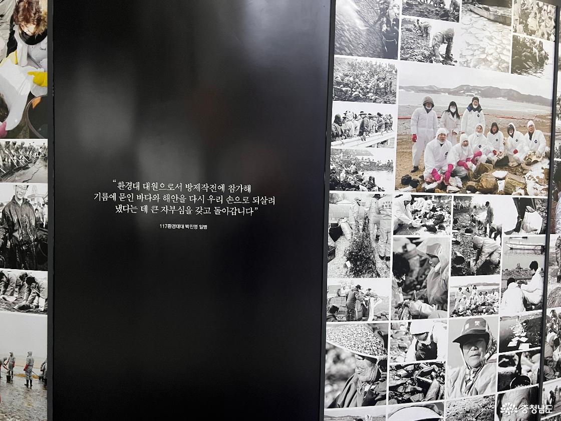 기름제거 봉사활동에 참여한 봉사자들의 사진들