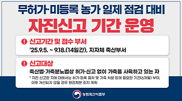 무허가·미등록 농가 일제 점검 대비 | 자진신고 기간 운영 | 신고기간 및 접수 부서 : '25.9.5. ~ 9.18.(14일간), 지자체 축산부서 | 신고대상 : 축산법·가축분뇨법상 허가·신고 없이 가축을 사육하고 있는 자 | *자진 신고한 자에 대해서는 허가·등록 절차 및 가축 처붅 등에 필요한 기간(6개얼) 부여, 이후 개선되지 않을 경우 행정처분 조치 계획