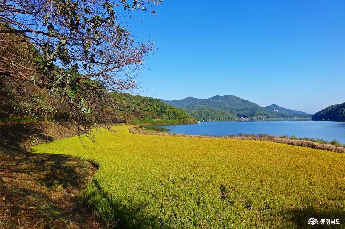 아산시 송악면 궁평저수지 풍경