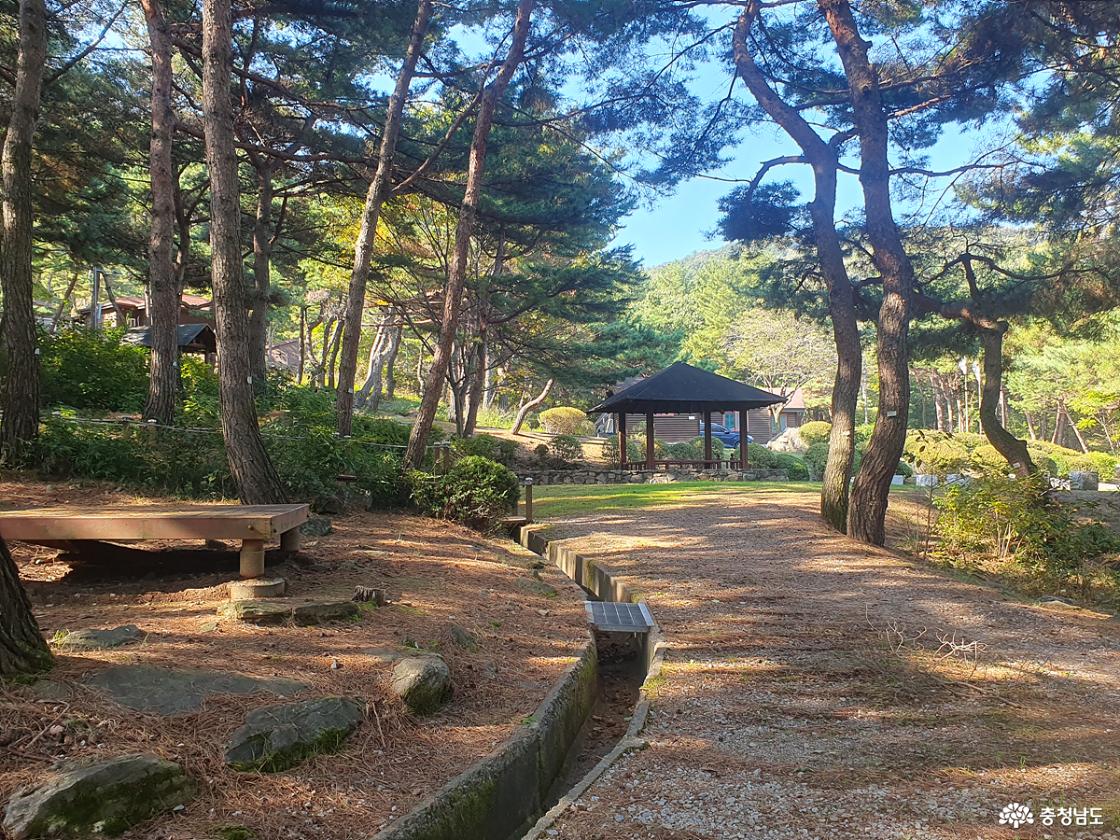 태학산자연휴양림 산책로 돌탑