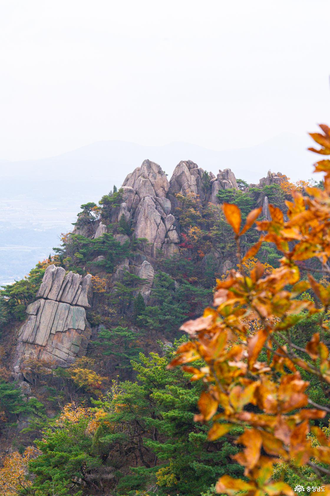 홍성 용봉산 가을 단풍산행 안내 4