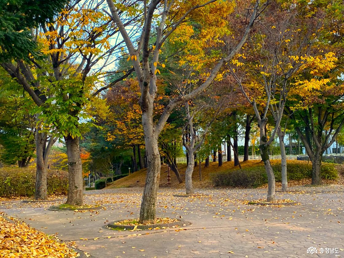 산책길의 모습