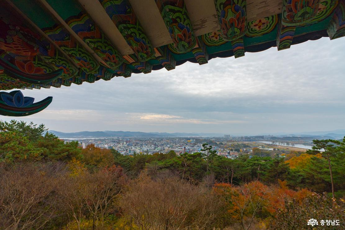 반월루에서 바라본 부여 전경