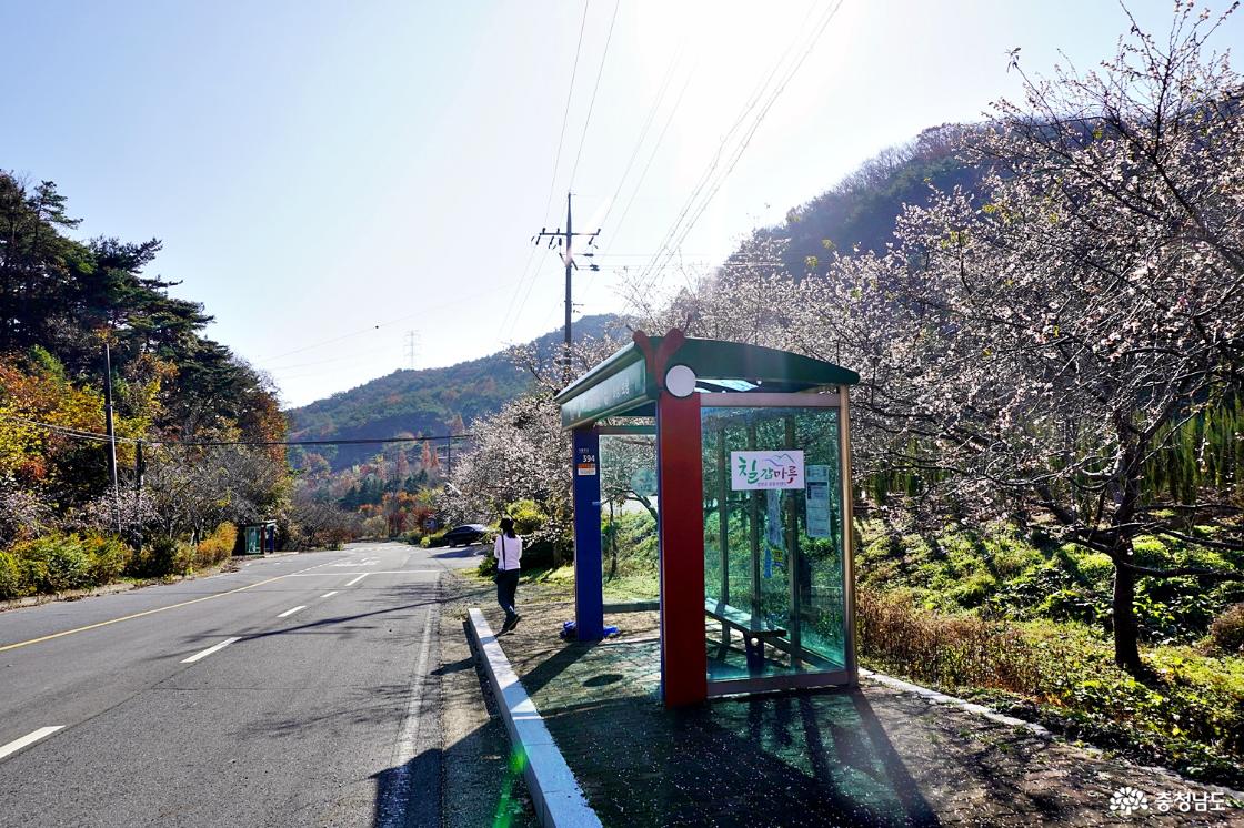 충청남도 산림자원연구소가 들어설 청양 고운식물원