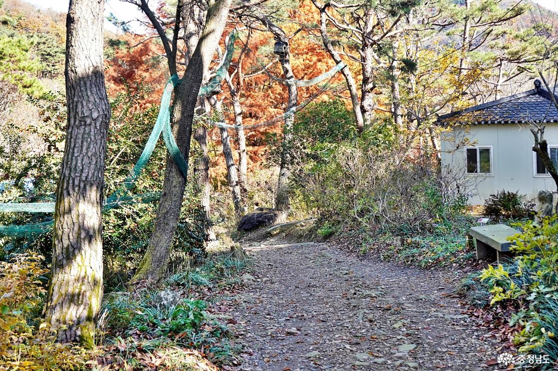 고운식물원 산책로