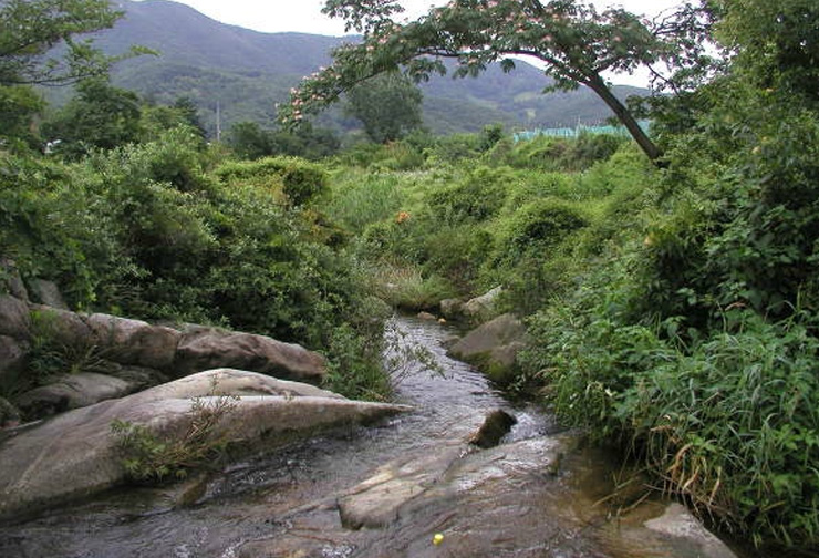 제6곡: 탁석천