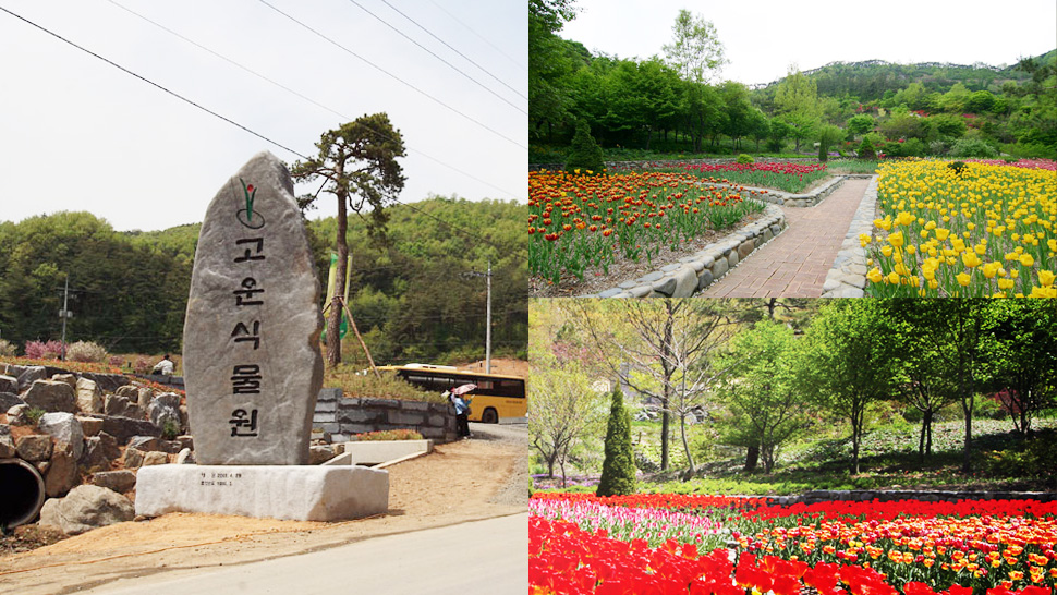 고운식물원